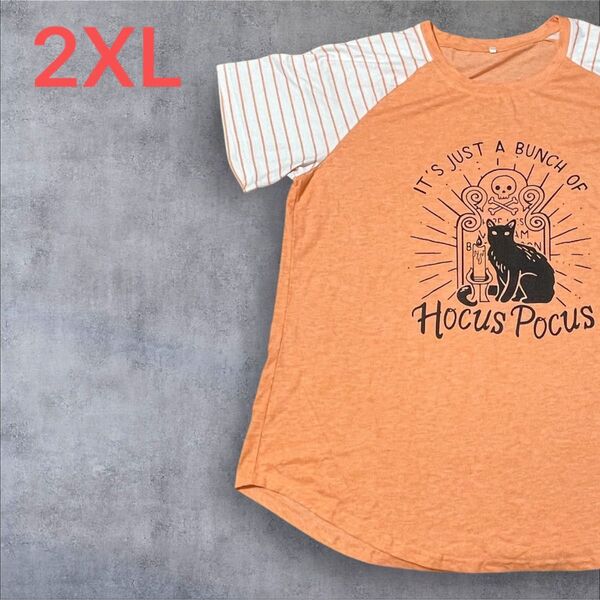 【US古着】オレンジ 2XL Tシャツ 半袖 レギュラー プリント メンズ レディース 大きいサイズ オーバーサイズ