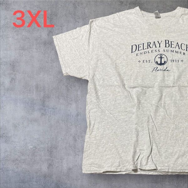 【US古着】ライトグレー 3XL Tシャツ 半袖 レギュラー プリント メンズ レディース 大きいサイズ オーバーサイズ