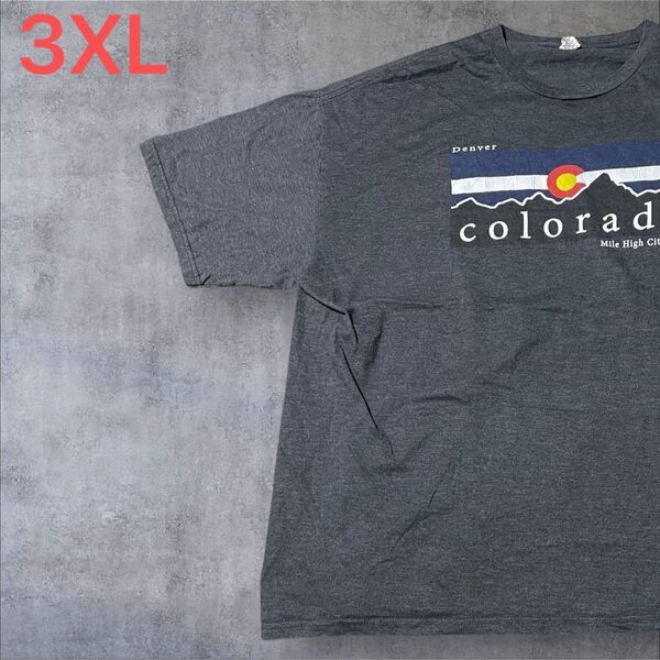 【US古着】ダークグレー 3XL Tシャツ 半袖 レギュラー プリント メンズ レディース 大きいサイズ オーバーサイズ