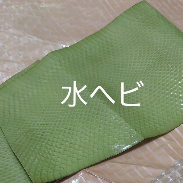 水ヘビ 蛇革 本革 エキゾチックレザー ハギレ ライトグリーン