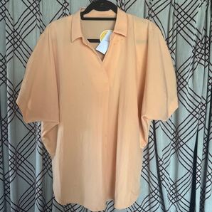 フリーサイズ ブラウス