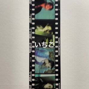 SEVENTEEN HAPPY BURSTDAY 4CUT フォト ヒポチ