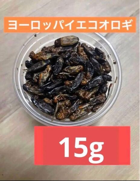ヨーロッパイエコオロギ 約15g 爬虫類 両生類 乾燥コオロギ ドライコオロギ