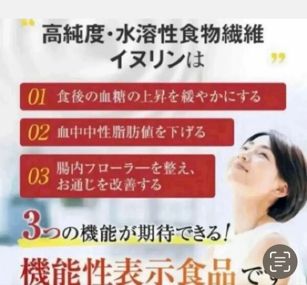 (機能性表示食品)高純度、水溶性食物繊維イヌリン2袋セット