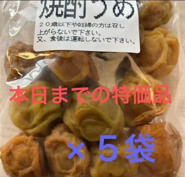 訳あり 国産 南高梅使用の焼酎うめ 170g×5袋セット