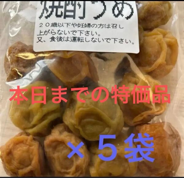 訳あり 国産 南高梅使用の焼酎うめ 170g×5袋セット