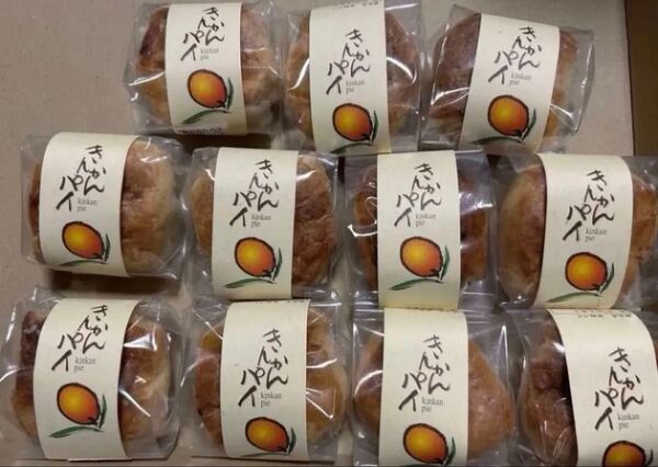 薩摩蒸気屋 お得!きんかんパイ×10+1個セット