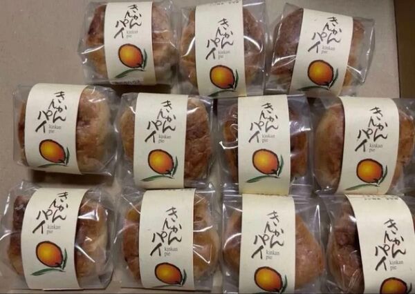 薩摩蒸気屋 お得!きんかんパイ×10+1個セット