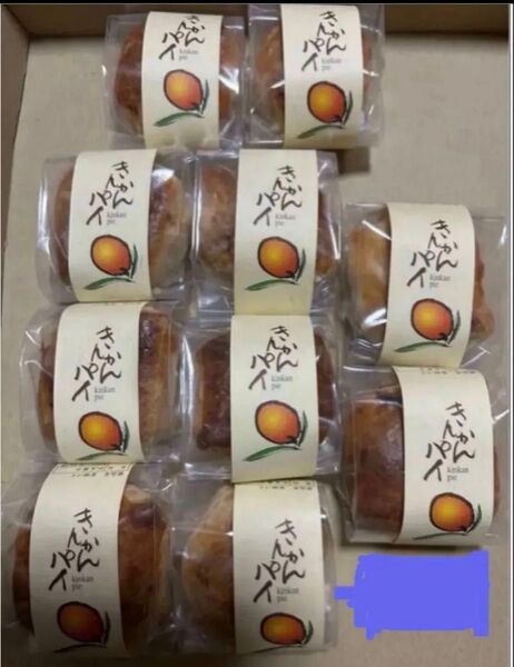 薩摩蒸気屋 ★きんかんパイ×10個セット