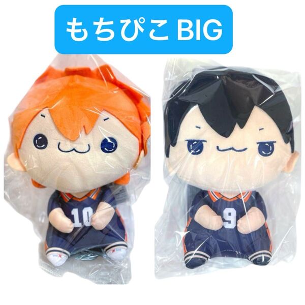 ハイキュー もちぴこBIGぬいぐるみ 日向翔陽 影山飛雄