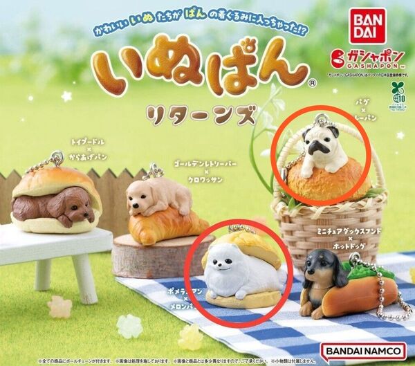 ポメラニアン パグ 2種類 いぬぱん リターンズ 犬 イヌ ガチャ ミニチュア フィギュア 模型 雑貨