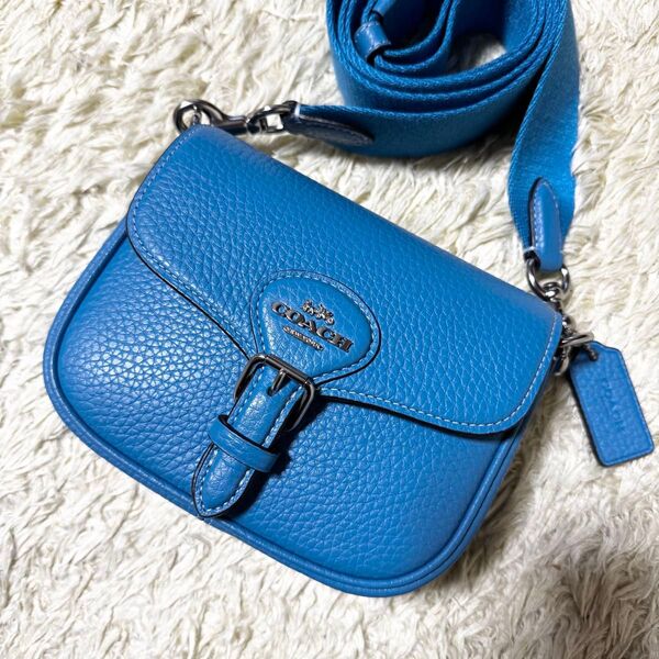 極美品 COACH コーチ ショルダーバッグ アメリア スモール サドルバッグ 斜め掛け レザー ブルー クロスボディ ポシェット