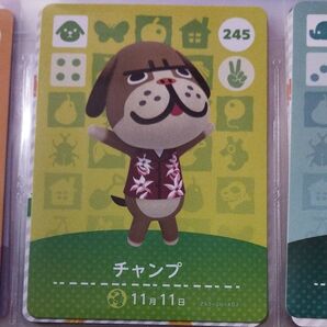 245 チャンプ amiiboカード