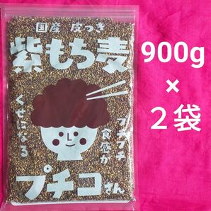 国産 皮付き 紫もち麦 プチコさん 2袋 ダイシモチ プチプチ 腸活 ダイエット 未開封