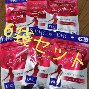 DHC エクオール 20日分 6袋 120日分 大豆イソフラボン