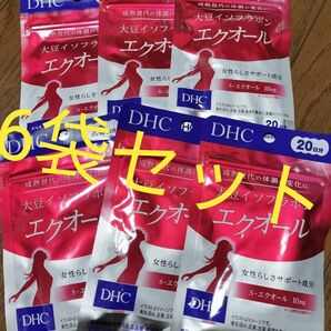 DHC エクオール 20日分 6袋 120日分 大豆イソフラボン