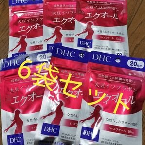DHC エクオール 20日分 6袋 120日分 大豆イソフラボン サプリメント