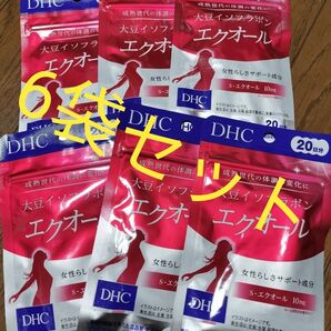 DHC エクオール 20日分 6袋 120日分 大豆イソフラボン