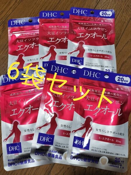 DHC エクオール 20日分 6袋 120日分 大豆イソフラボン