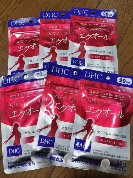 DHC エクオール 20日分 6袋 120日分 大豆イソフラボン
