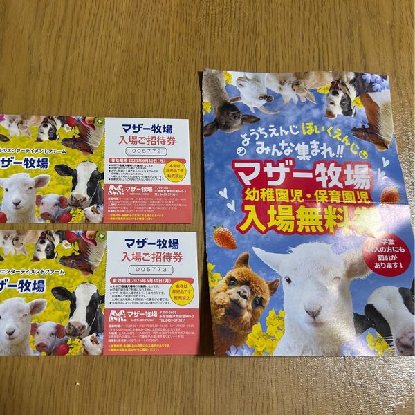 マザー牧場 入場ご招待券 2枚+幼稚園児・保育園児入場無料券1枚 有効期限2025年6月30日