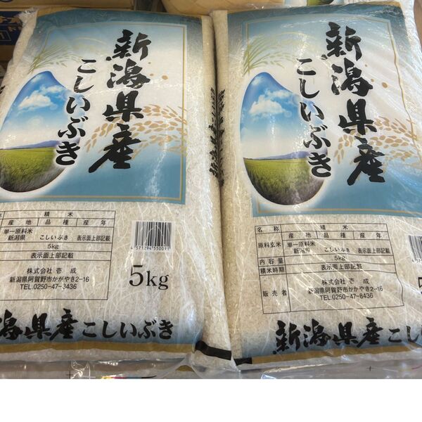 新潟県産 特産米 令和6年産 こしいぶき 5kg × 2 10kg