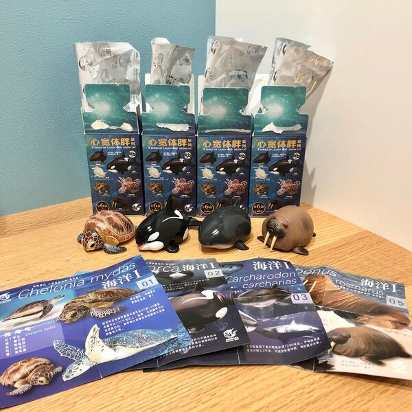 動物の惑星 海洋 4種セット アオウミガメ シャチ ホホジロザメ セイウチ フィギュア 動物惑星 動物星雲
