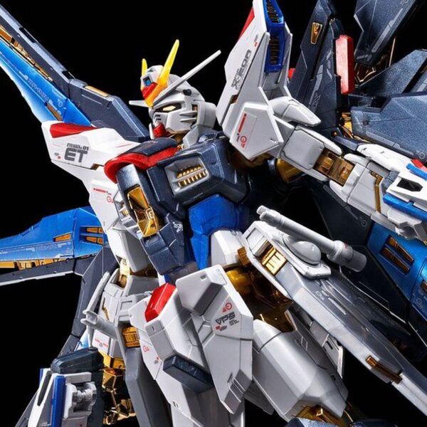 RG ストライクフリーダムガンダム チタニウムフィニッシュ & 拡張エフェクトユニット“天空の翼” 未組立セット