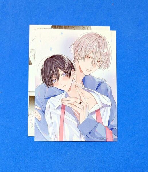 ドラマCD「狼くんの愛はちょっと不機嫌」アニメイト特典