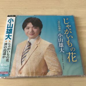 【CD】 小山雄大/じゃがいもの花