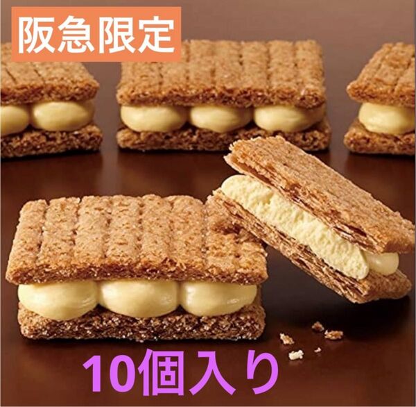阪急限定 たっぷりショコラサンド横綱10個入り