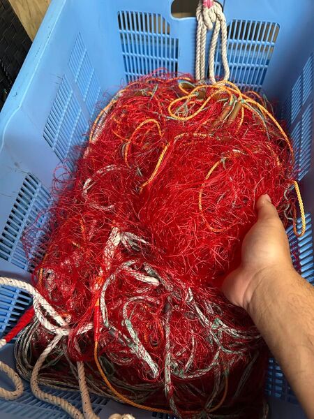 伊勢海老 刺網 80ミリ 高さ150cm 新品 12反あります。 2反