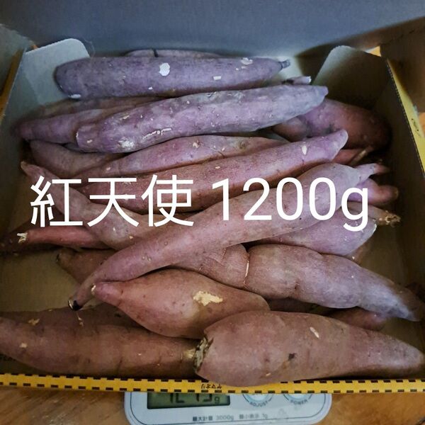 さつまいも 紅天使 1200g