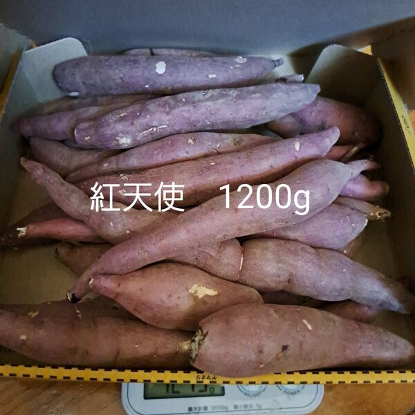 さつまいも 紅天使 1200g