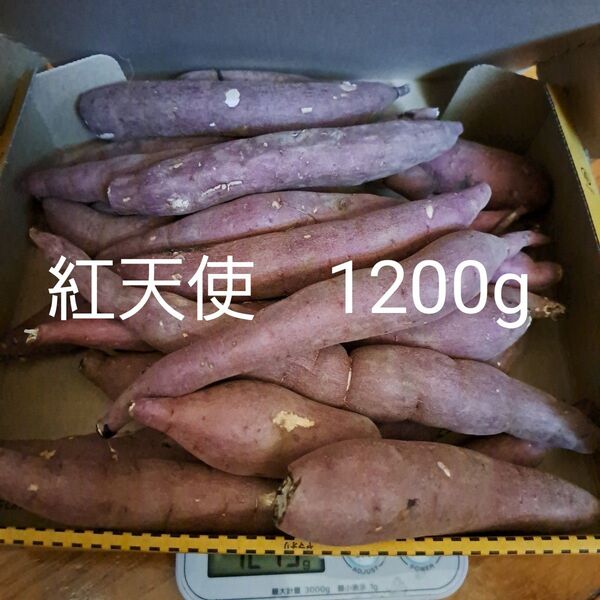さつまいも 紅天使 1200g