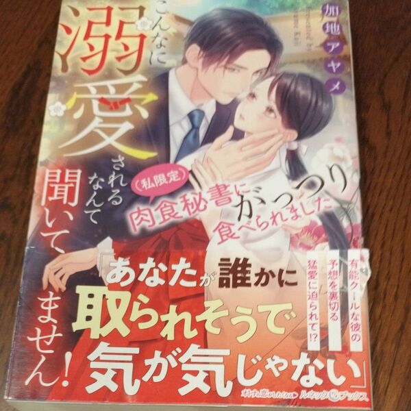 こんなに溺愛されるなんて聞いてません! 〈私限定〉肉食秘書にがっつり食べられました 加地アヤメ