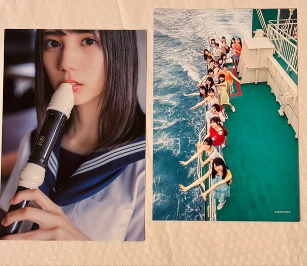 小坂菜緒 日向坂46 写真集の付録等 ポストカード2枚セット