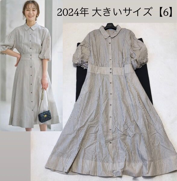 組曲!2024!美品!大きいサイズ【6】ボリュームスリーブシャツワンピース