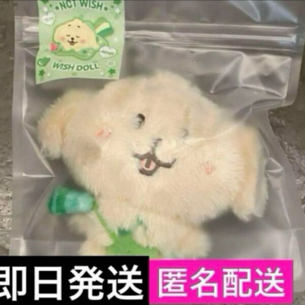 nct wish wish doll MD ぬいぐるみ ジェヒ デントリバー
