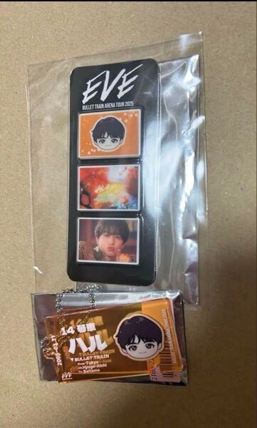 (即購入不可) 超特急 ハル EVE ランダムフォトグレイパーツ &チケットキーホルダー セット