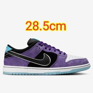 Hayley Wilson × Nike SB Dunk Low Pro Black and Court Purple 28.5