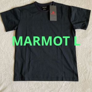 Marmot マーモット ウィメンズMMW TEE半袖Tシャツ