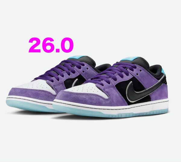 Hayley Wilson Nike SB Dunk Low Pro Black and Court Purple