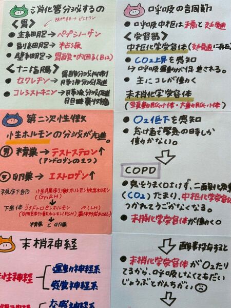 看護師国家試験 対策ノート 付箋ノート まとめノート