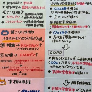 看護師国家試験 対策ノート 付箋ノート まとめノート