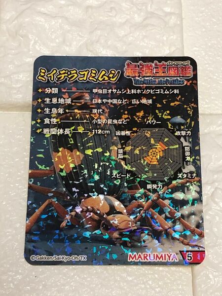 最強王図鑑 ふりかけ シール ミイデラゴミムシ
