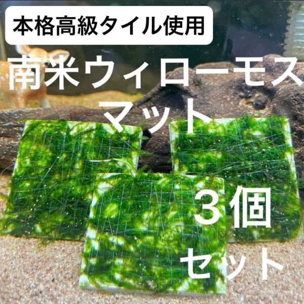 【特別価格!美しい緑の絨毯】高級本格タイル使用ウィローモスマット×3個