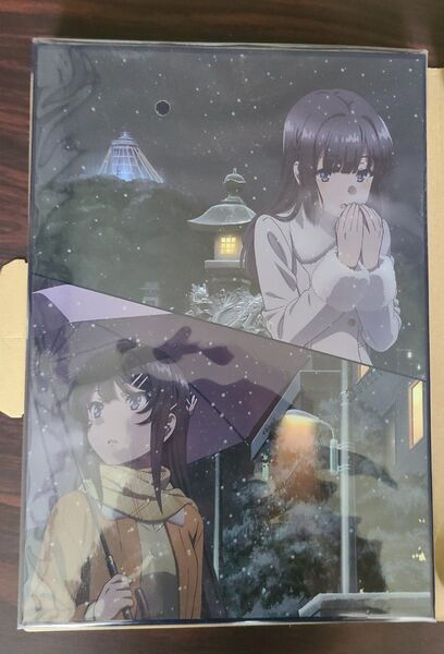 劇場版 青春ブタ野郎はゆめみる少女の夢を見ない豪華版 パンフレット 未開封