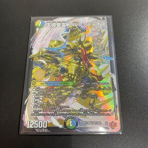 王導聖霊アルファディオス 1枚