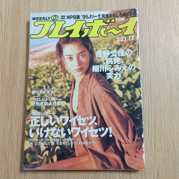 週刊プレイボーイ 1995年3月21日 No.17号